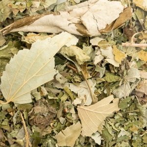 Feuilles de tilleul, friandise naturelle pour lapins