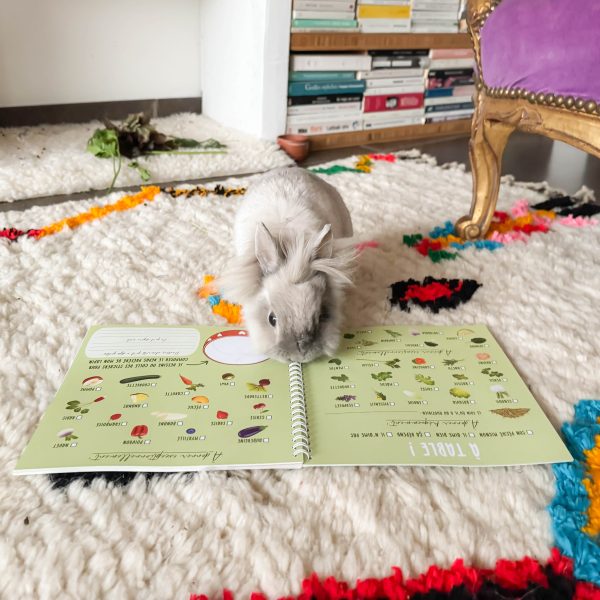 Mon lapin et moi, le carnet souvenir à remplir avec amour