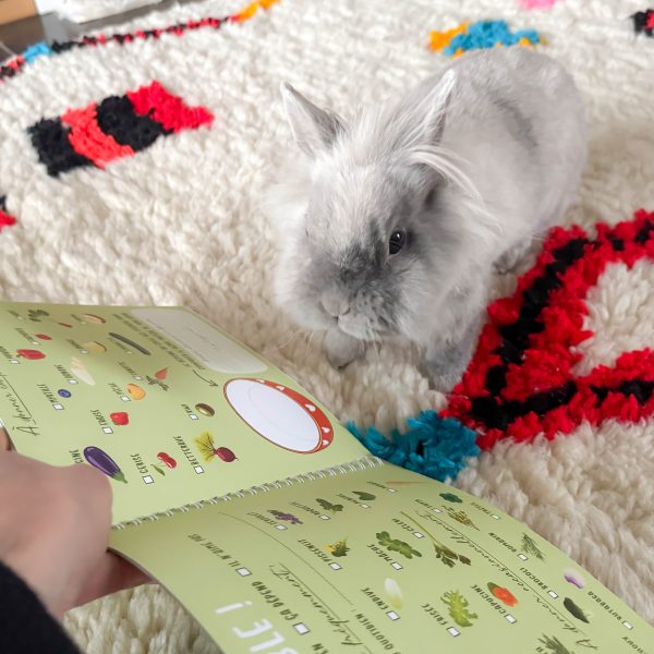 Mon lapin et moi, le carnet souvenir à remplir avec amour