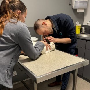 Dr Zoller, vétérinaire Nac OnlyVet